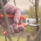 Tesoura De Poda Para Jardim Com Lâmina Metálica Bypass | Tram